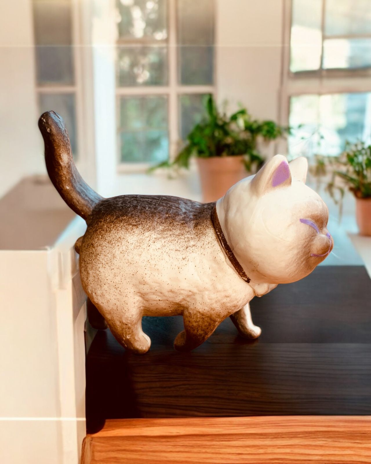 Gato Japonés