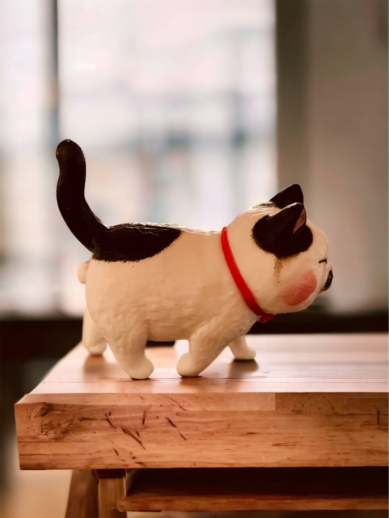Gato Japonés